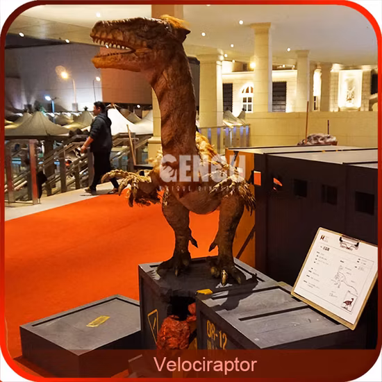 Realistic Velociraptor Animatronic Dinosaur for Sale