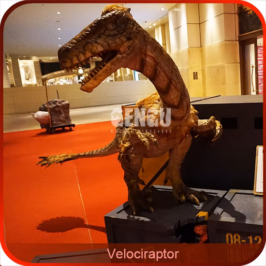Realistic Velociraptor Animatronic Dinosaur for Sale